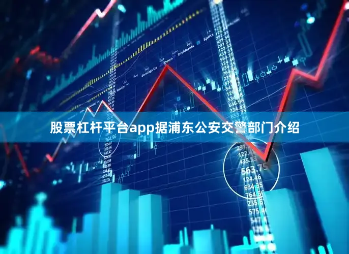 股票杠杆平台app据浦东公安交警部门介绍