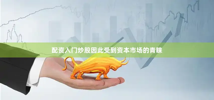 配资入门炒股因此受到资本市场的青睐