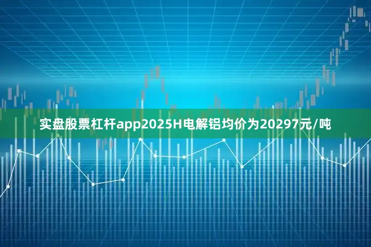 实盘股票杠杆app2025H电解铝均价为20297元/吨