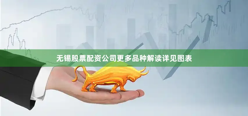 无锡股票配资公司更多品种解读详见图表
