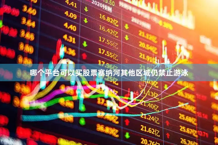 哪个平台可以买股票塞纳河其他区域仍禁止游泳