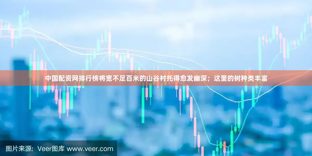 中国配资网排行榜将宽不足百米的山谷衬托得愈发幽深；这里的树种类丰富