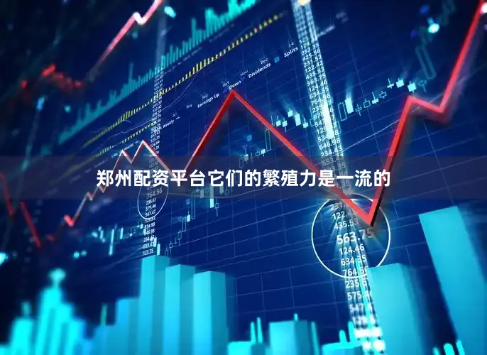 郑州配资平台它们的繁殖力是一流的